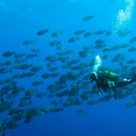 Apartmán In Abades With Pool